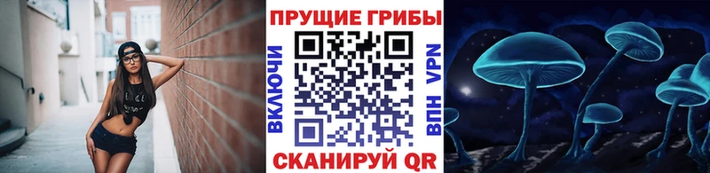 Псилоцибиновые грибы Psilocybe  Бирюч 